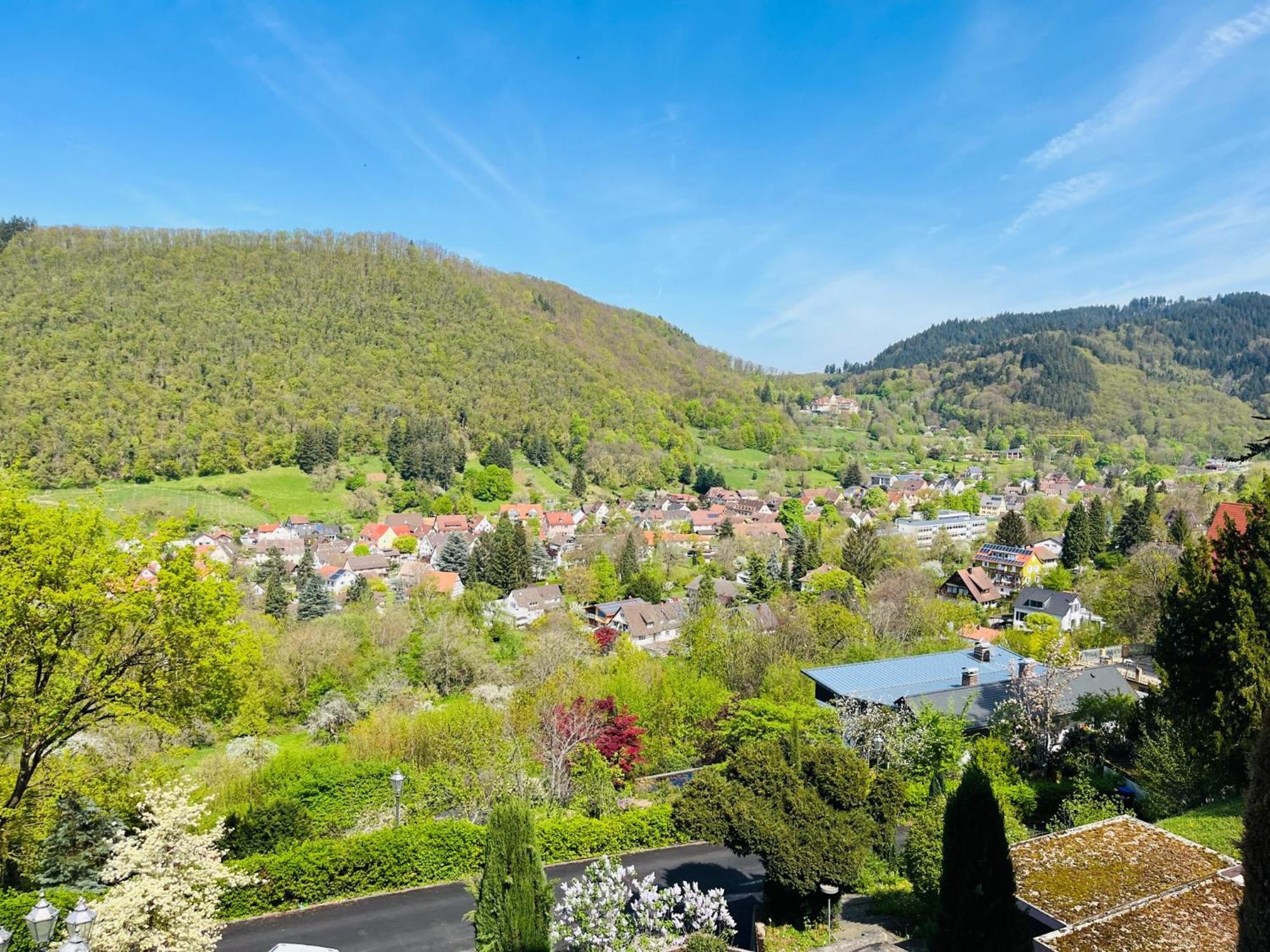 Hotel Schlossberg Badenweiler Extérieur photo